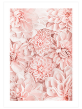 Kasımpatı - Art Print